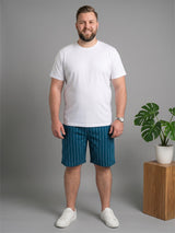 Men Plus Size Speckle Multi Striped Shorts