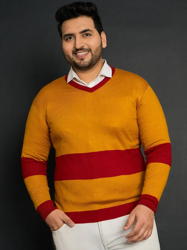 Men Plus Size Oatlands Colourblocked Sweater
