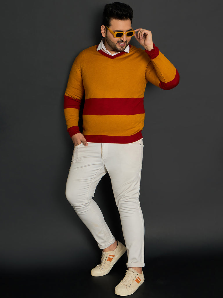 Men Plus Size Oatlands Colourblocked Sweater - bigbanana