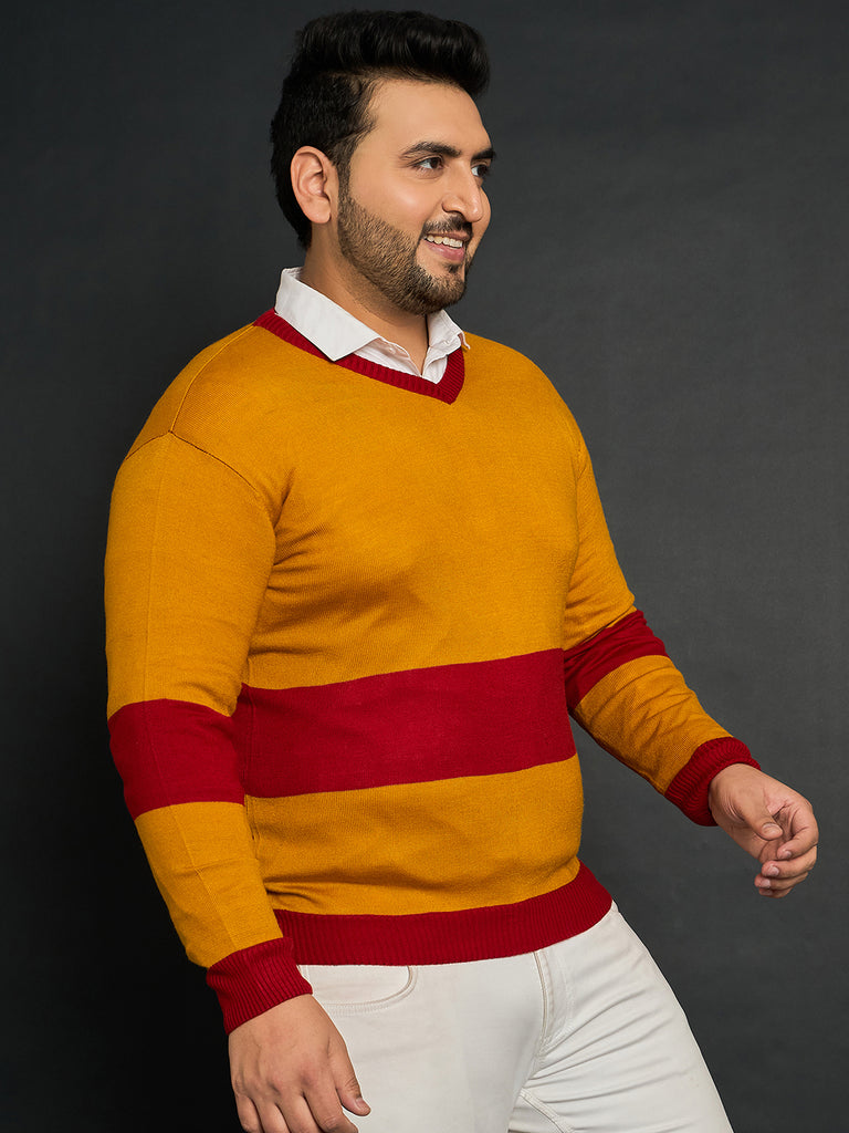 Men Plus Size Oatlands Colourblocked Sweater - bigbanana