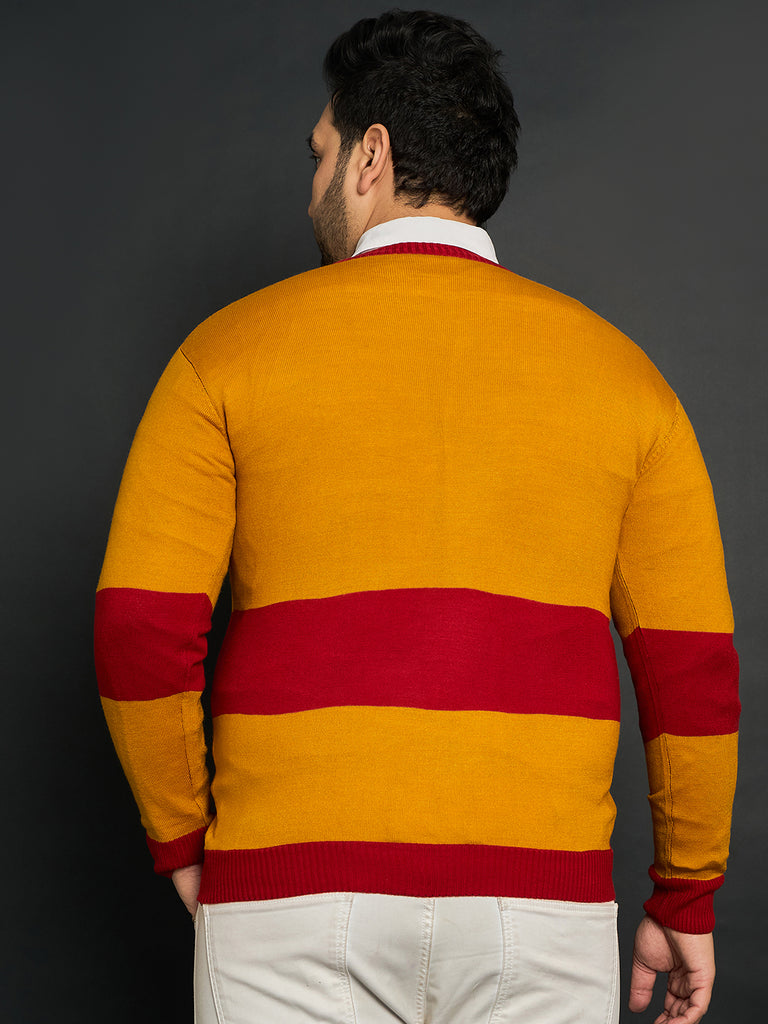 Men Plus Size Oatlands Colourblocked Sweater - bigbanana