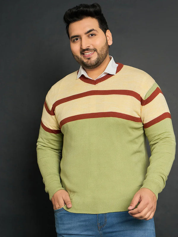 Men Plus Size Omolon Colourblocked Sweater