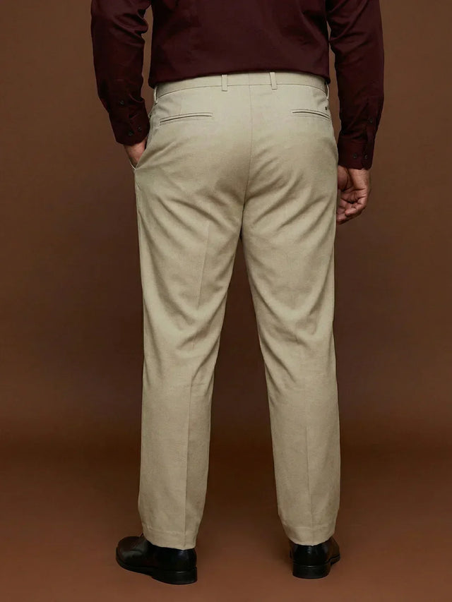 Men Plus Size Pristine-Beige Textured Formal Pants
