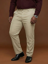 Men Plus Size Pristine-Beige Textured Formal Pants
