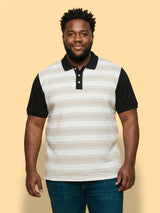 Men Plus Size Calico Multicolor Striped Polo Tshirt