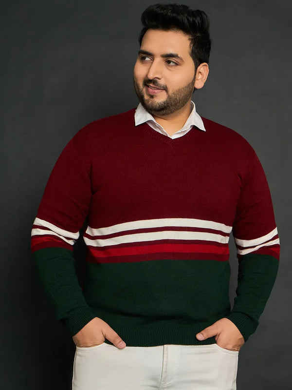 Men Plus Size Tigoa Colourblocked Sweater