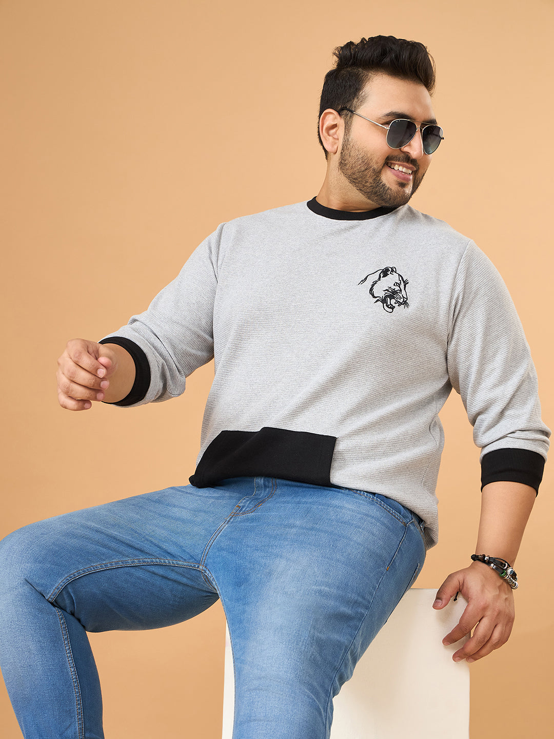 Men Plus Size Whiska Colorblock Sweatshirt