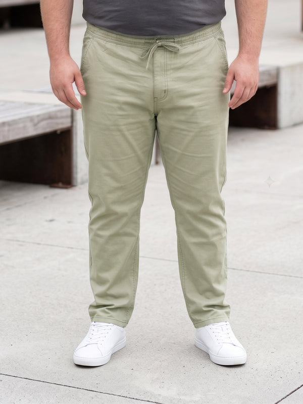 Men Plus Size Novira Sage Green Solid Trousers