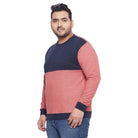 Men Plus Size Bradbud Colorblock Sweatshirt - bigbanana