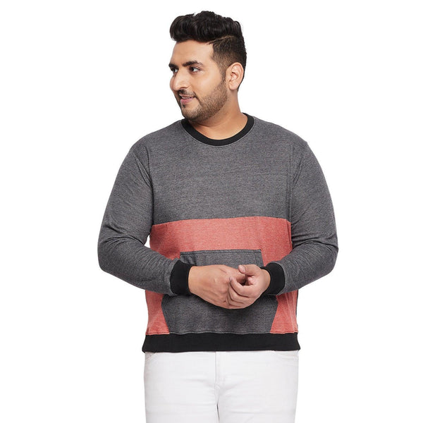 Men Plus Size Terry Colourblock Sweatshirt