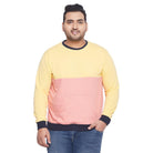 Men Plus Size Tedybru Colorblock Sweatshirt - bigbanana