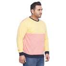 Men Plus Size Tedybru Colorblock Sweatshirt - bigbanana